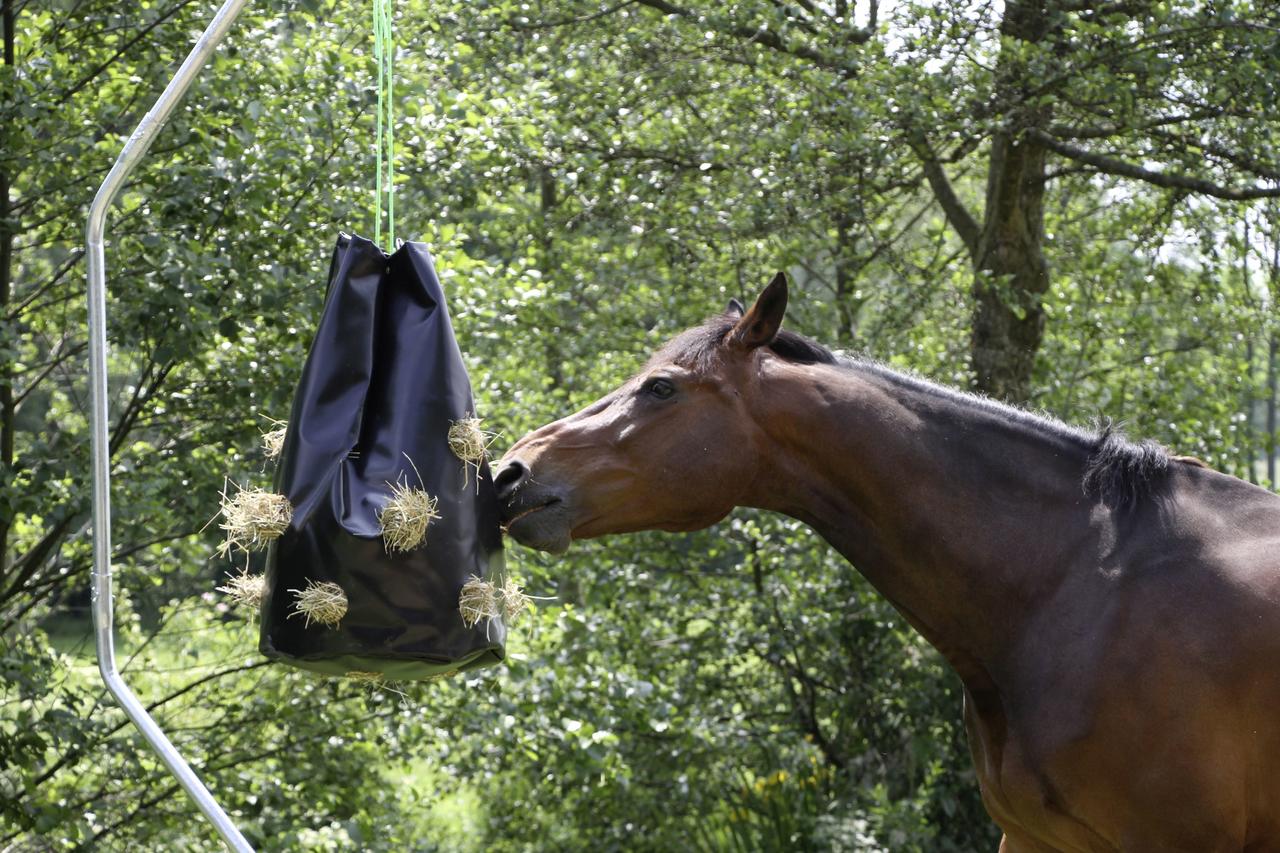 Kerbl Sac à foin HayBag