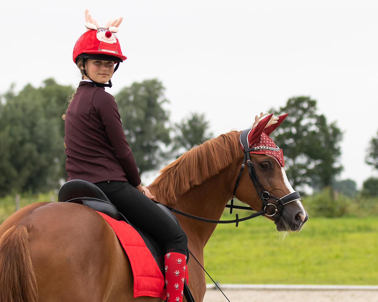 QHP Bonnet de Noël Rudolph