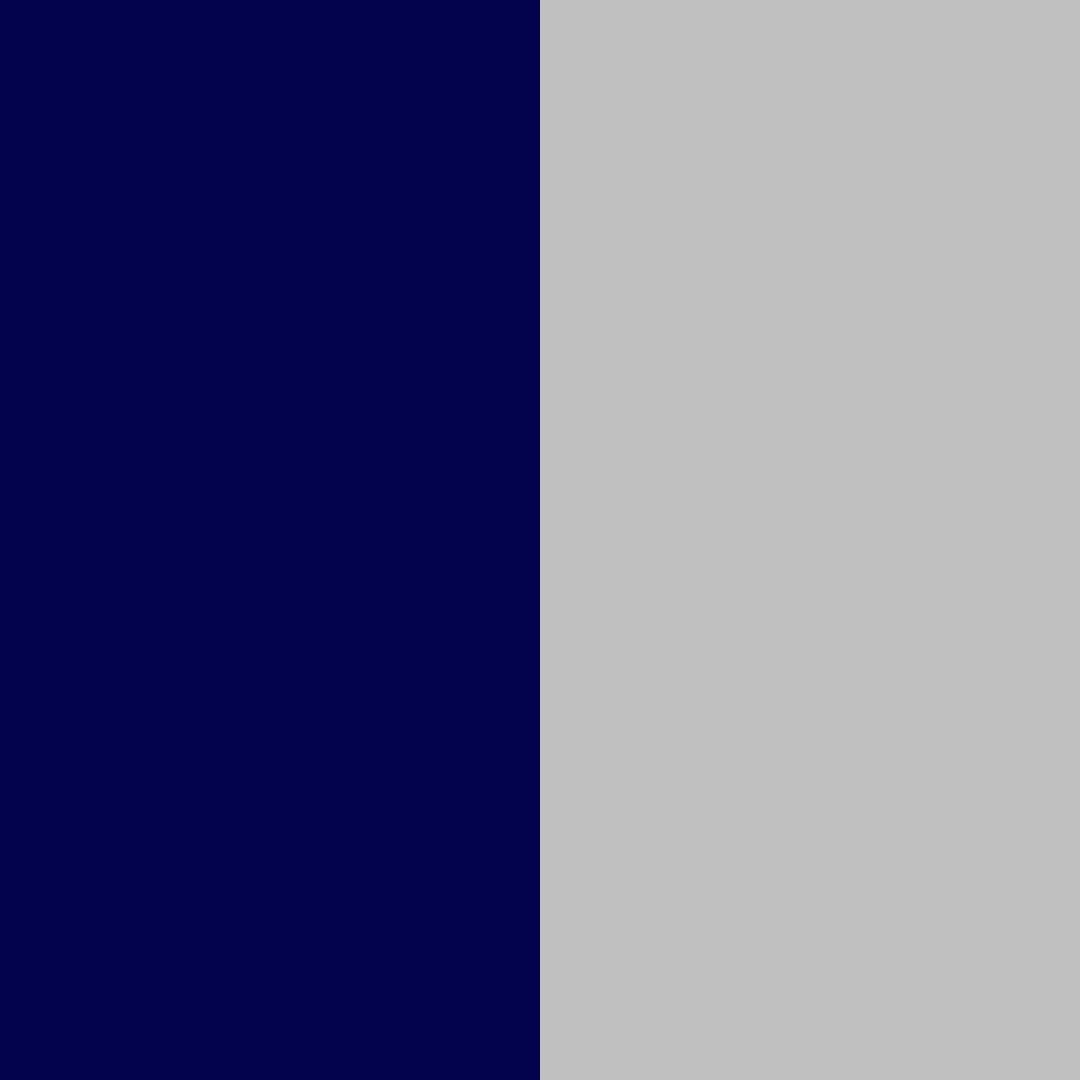 navy with silver