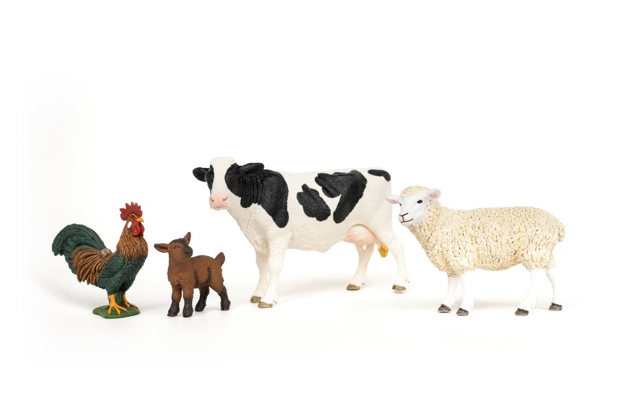 Schleich Set de démarrage "Ferme" de Farm World