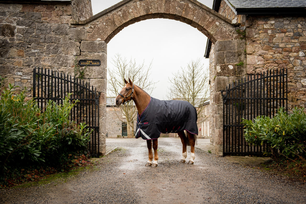 Horseware Couverture d'extérieur Amigo® Bravo 12 XL (Légère 0g)