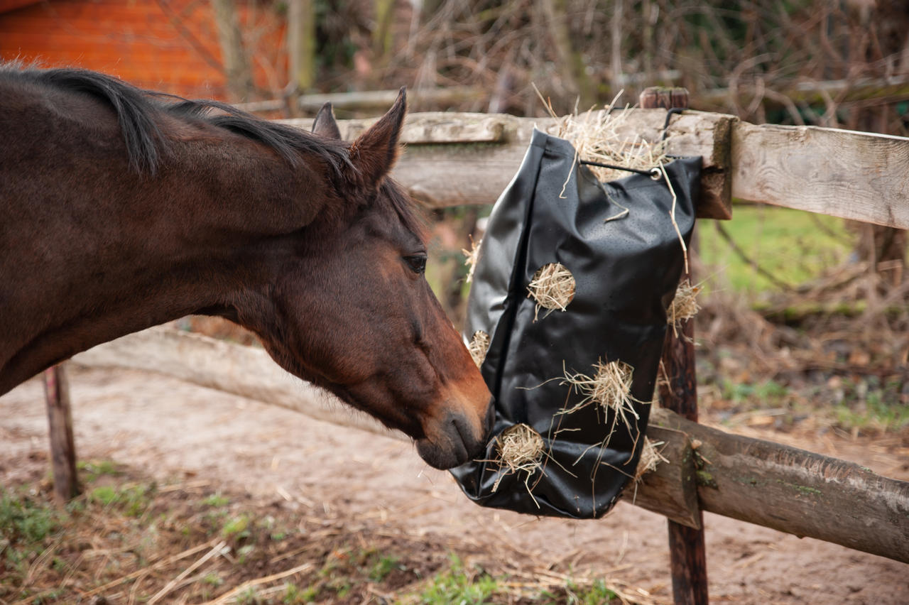 Kerbl Sac à foin HayBag