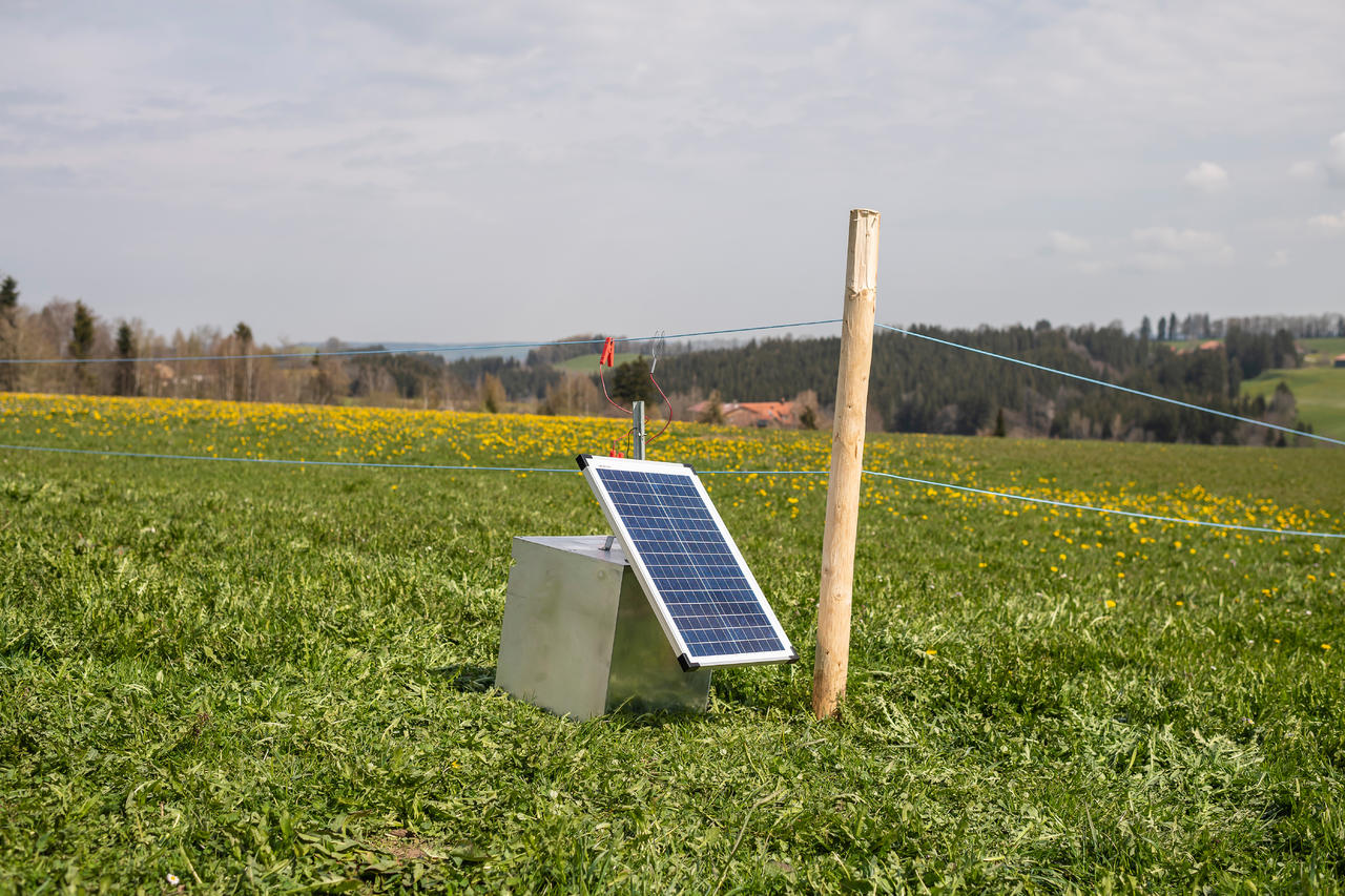 AKO Panneau solaire 55W convient aux électrificateurs