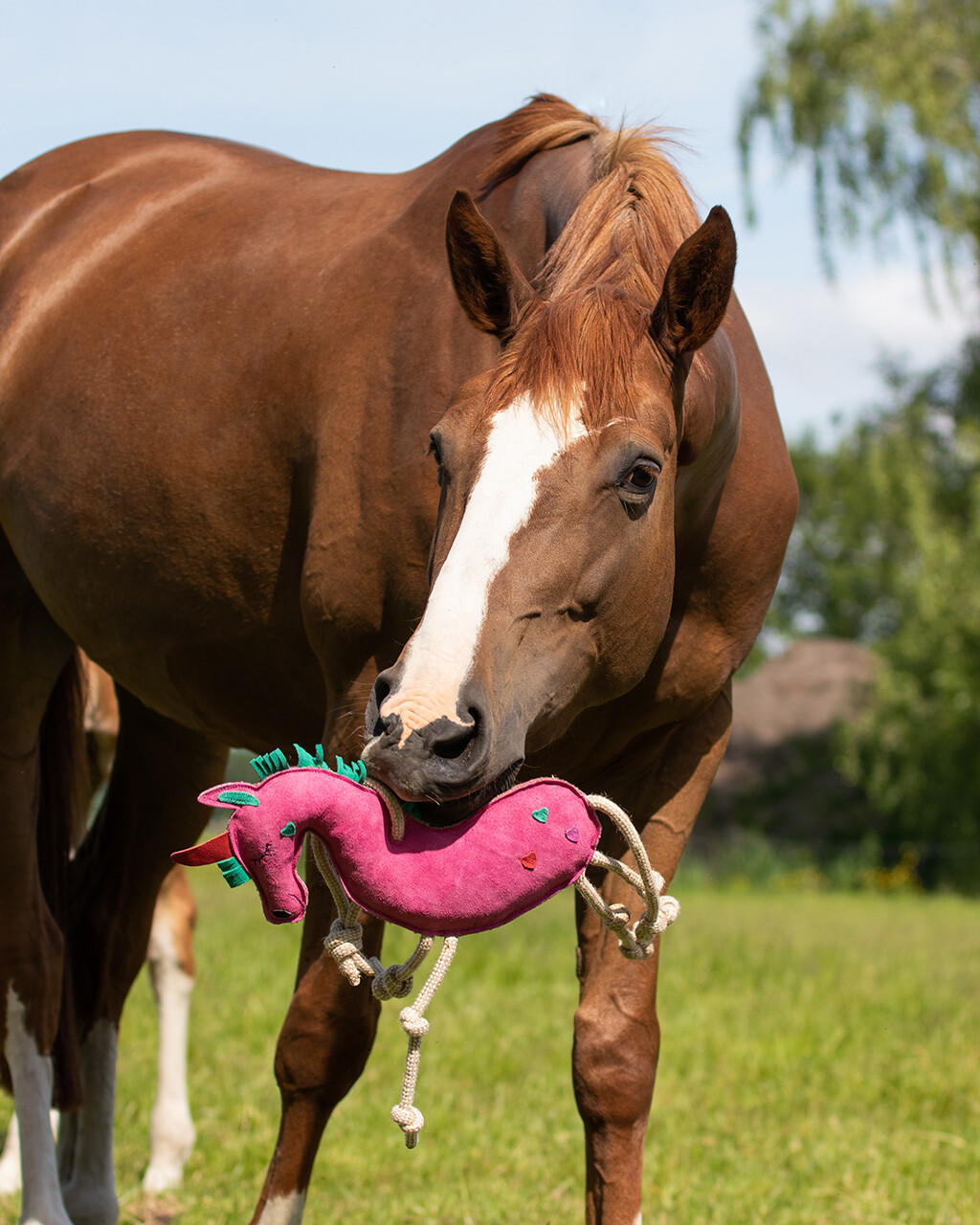 QHP Jouet pour chevaux - Unicorn