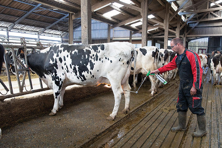 Express Farming Épilateur à gaz Dana