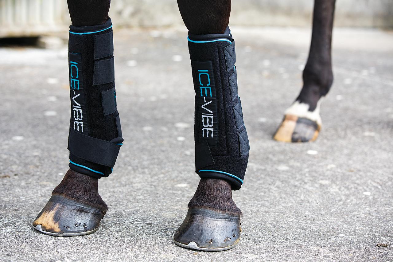 Horseware Guêtres Ice Vibe