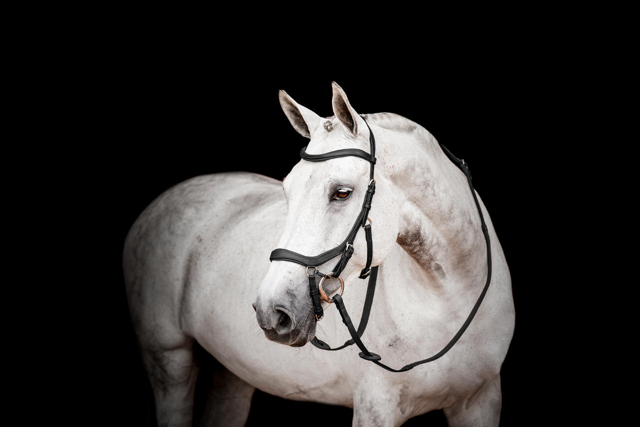 Horseware Bride Micklem 2 Competition