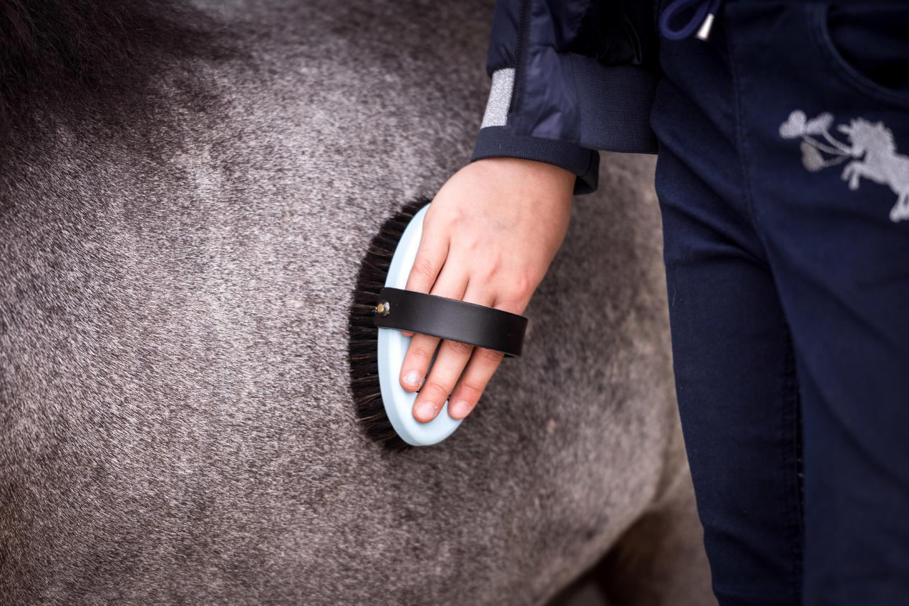 Leistner Brosse à panser "Feenstaubbürste" (à poussière de fée) – pour enfants