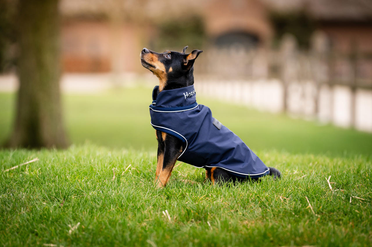 Horseware Manteau imperméable Signature pour chien