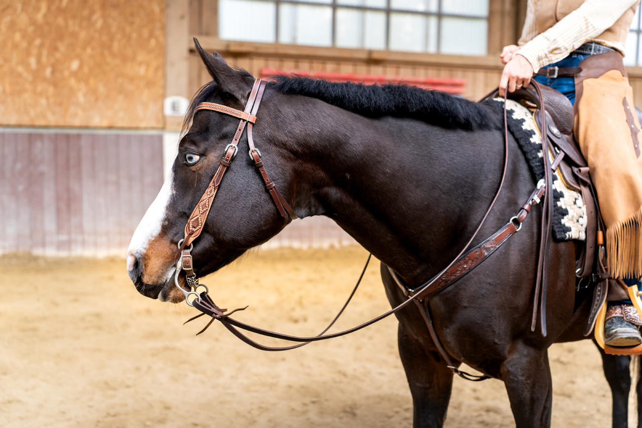 Rênes de harnais Reins 5/8 x 7