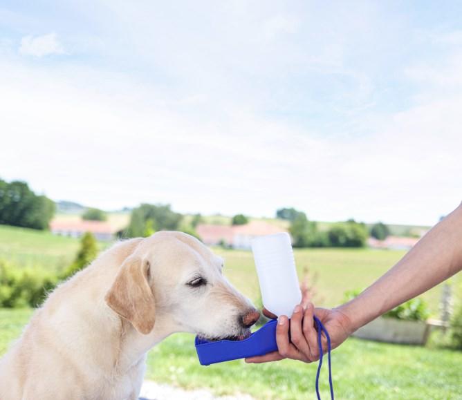 Kerbl Bouteille de voyage pour chiens