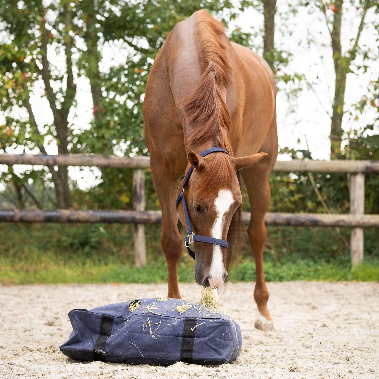 QHP Coussin à foin