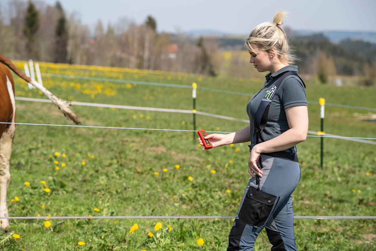 Göbel Testeur sans prise de terre