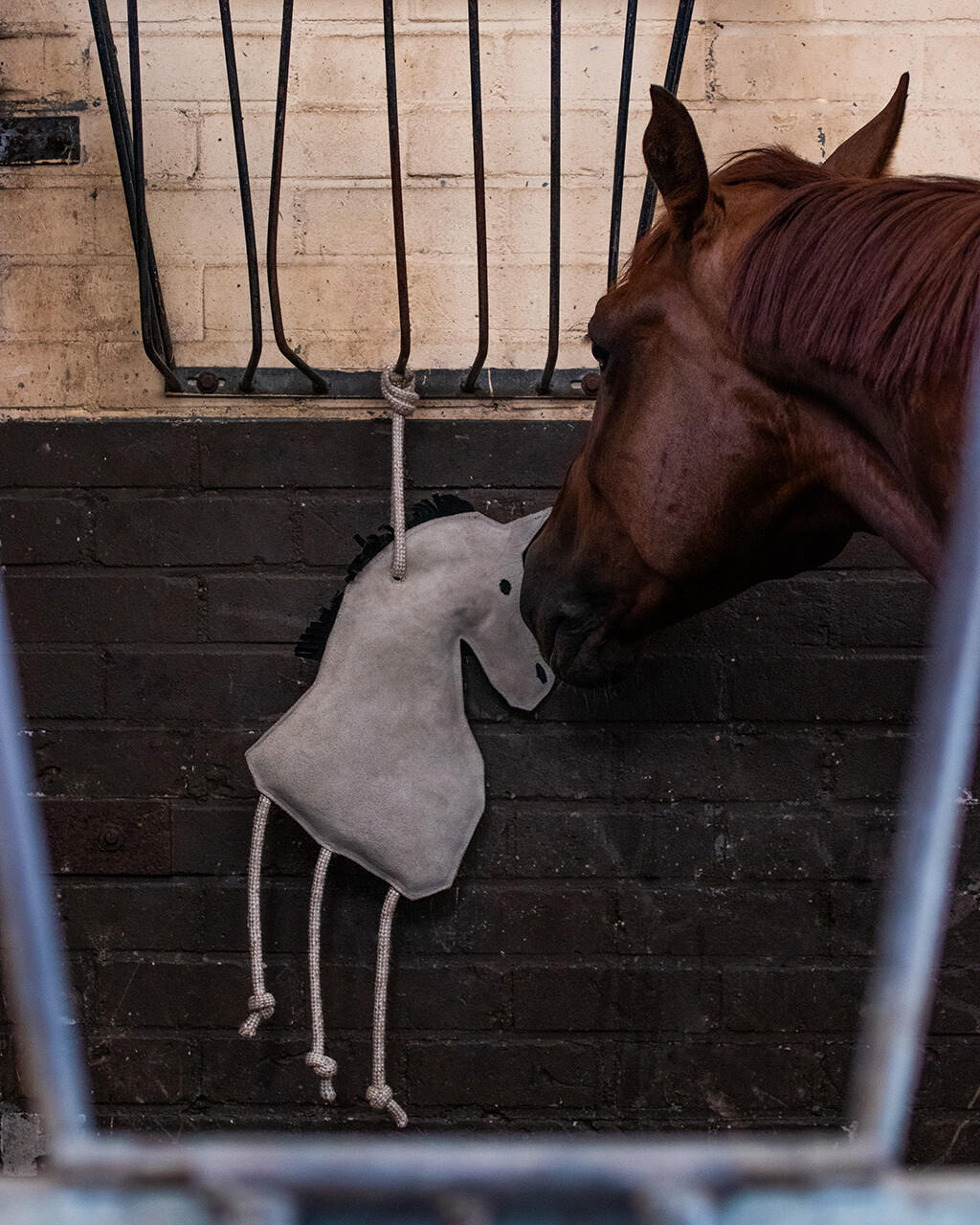 QHP Jouet pour chevaux - Cheval