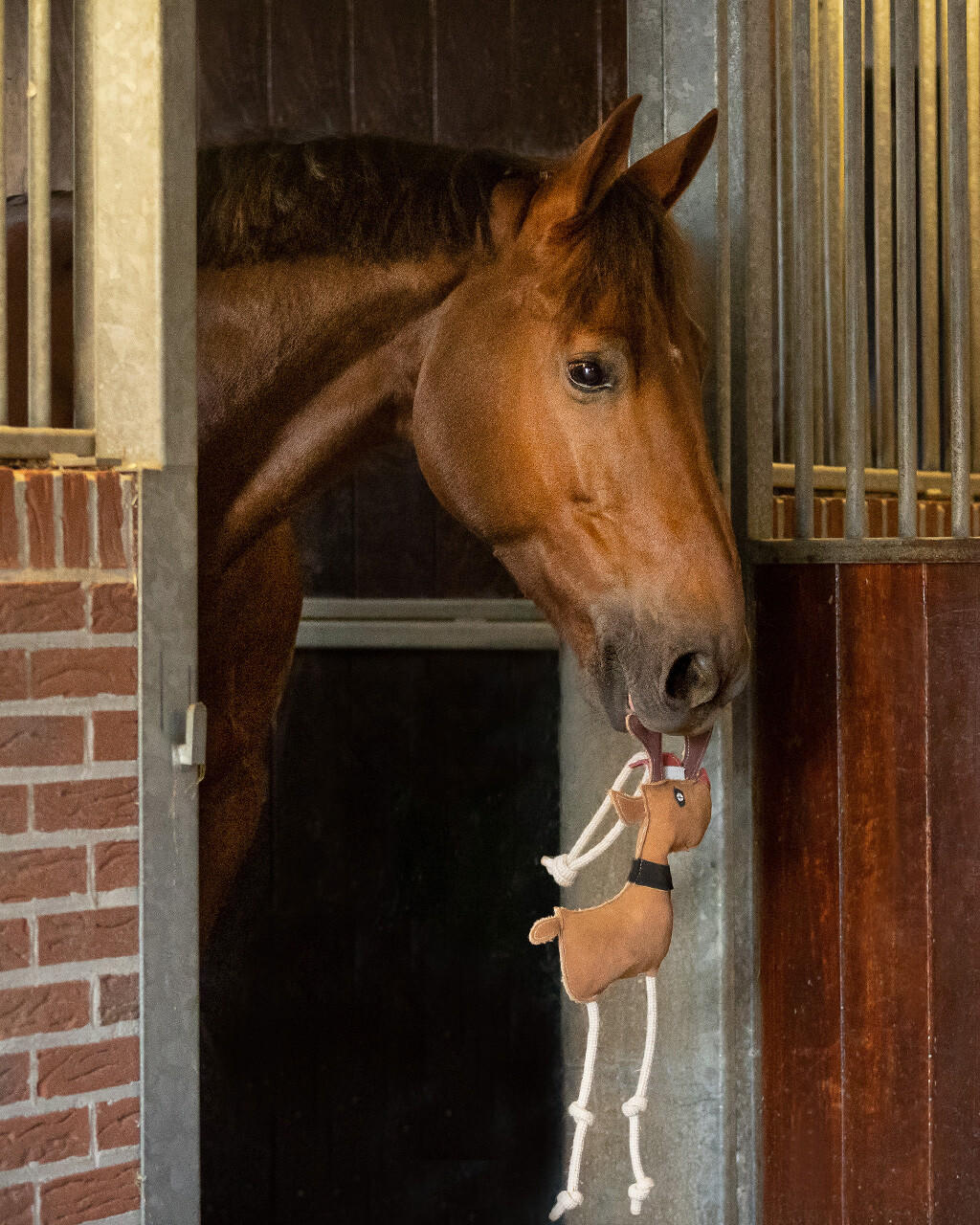 QHP Jouet pour chevaux Rudolph