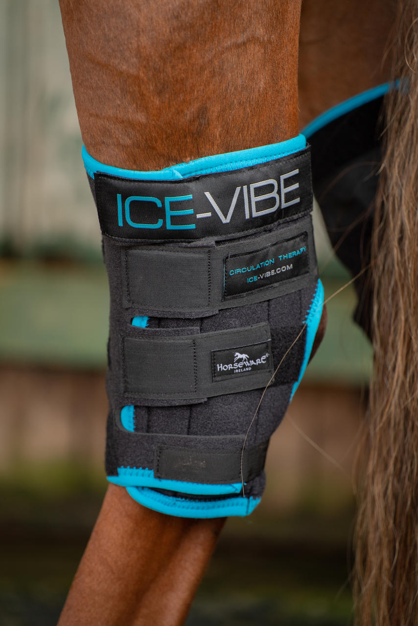 Horseware Ice Vibe Hock Wrap