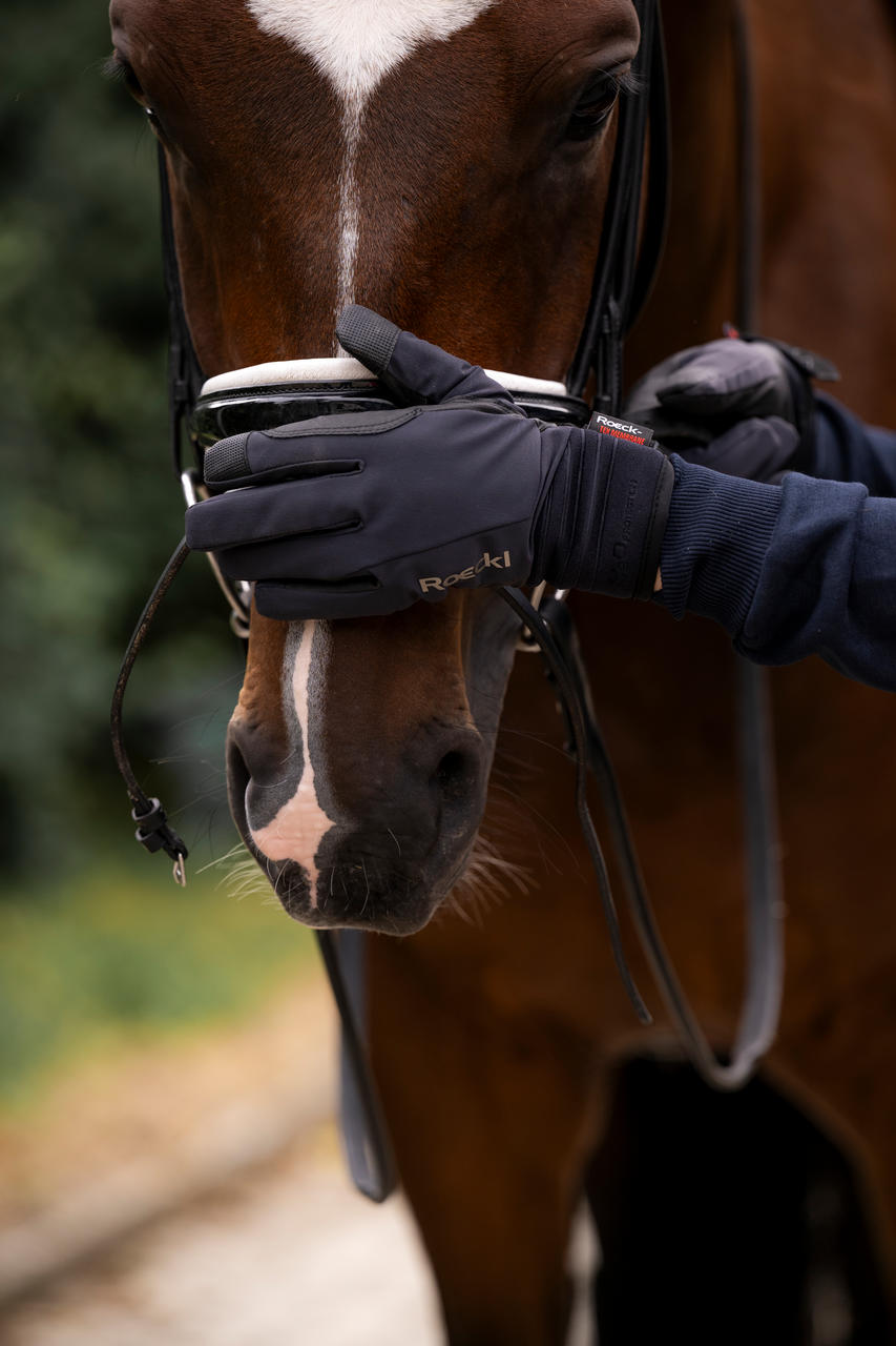 Roeckl Gant d'équitation d'hiver Winsford