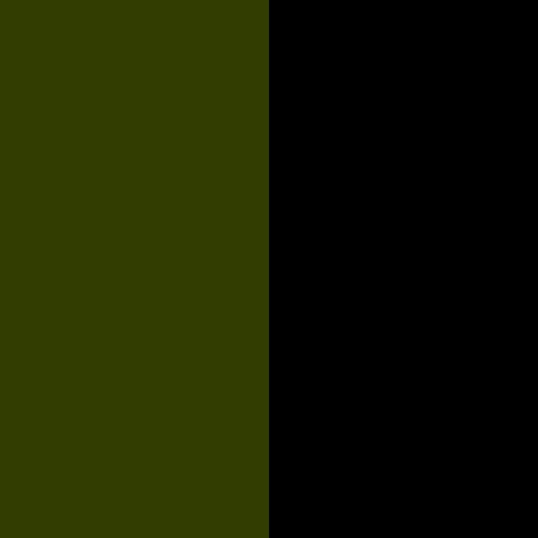 vert olive/noir