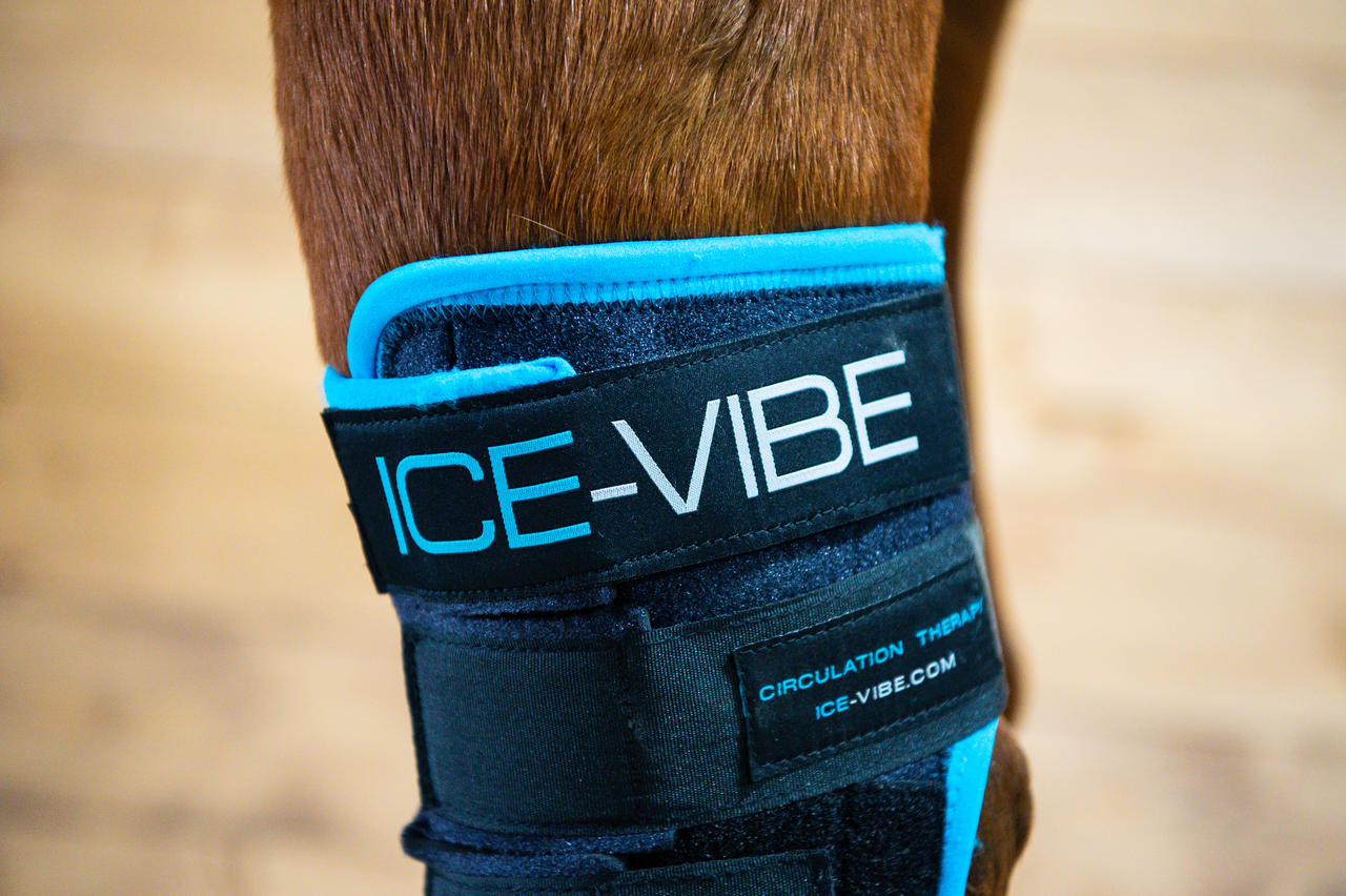 Horseware Ice Vibe Hock Wrap