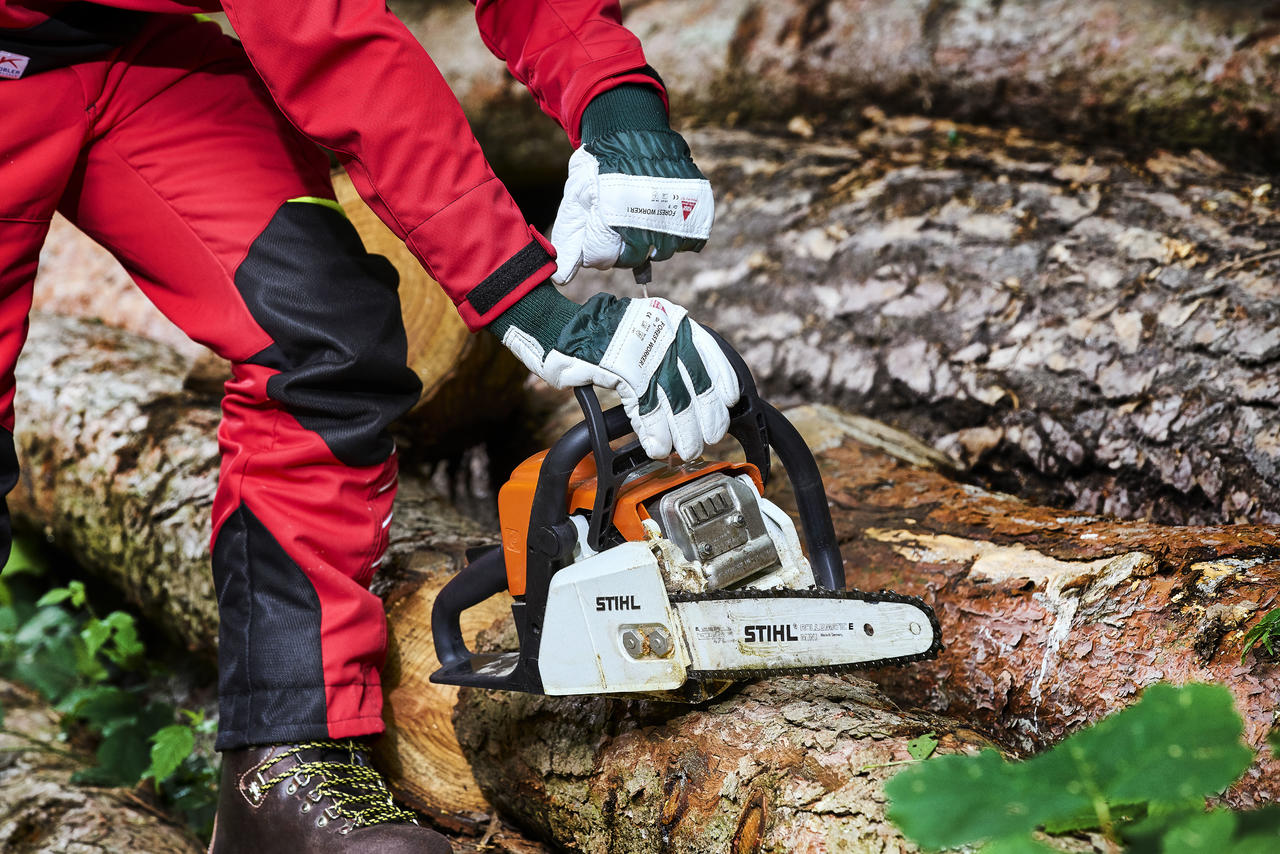 HASE GANT DE FORESTIER -FOREST WORKER I