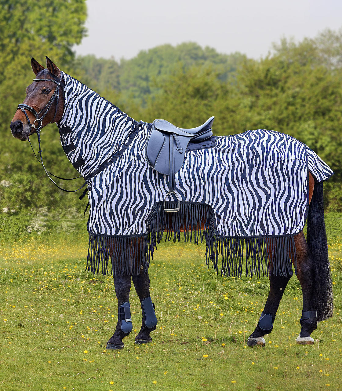 Waldhausen Couverture d'équitation anti-mouches Zebra avec franges