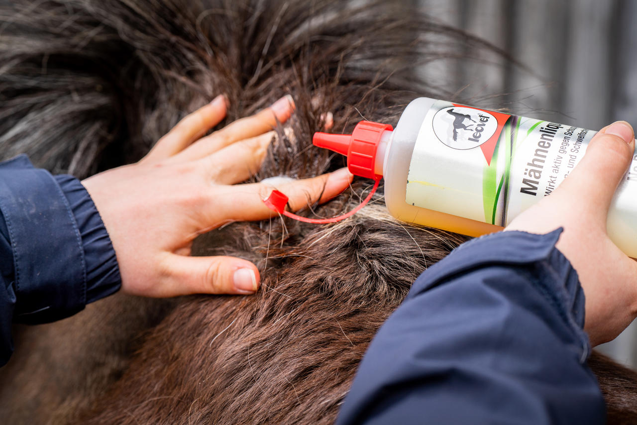 leovet Liquide pour crinières de Leovet 500 ml