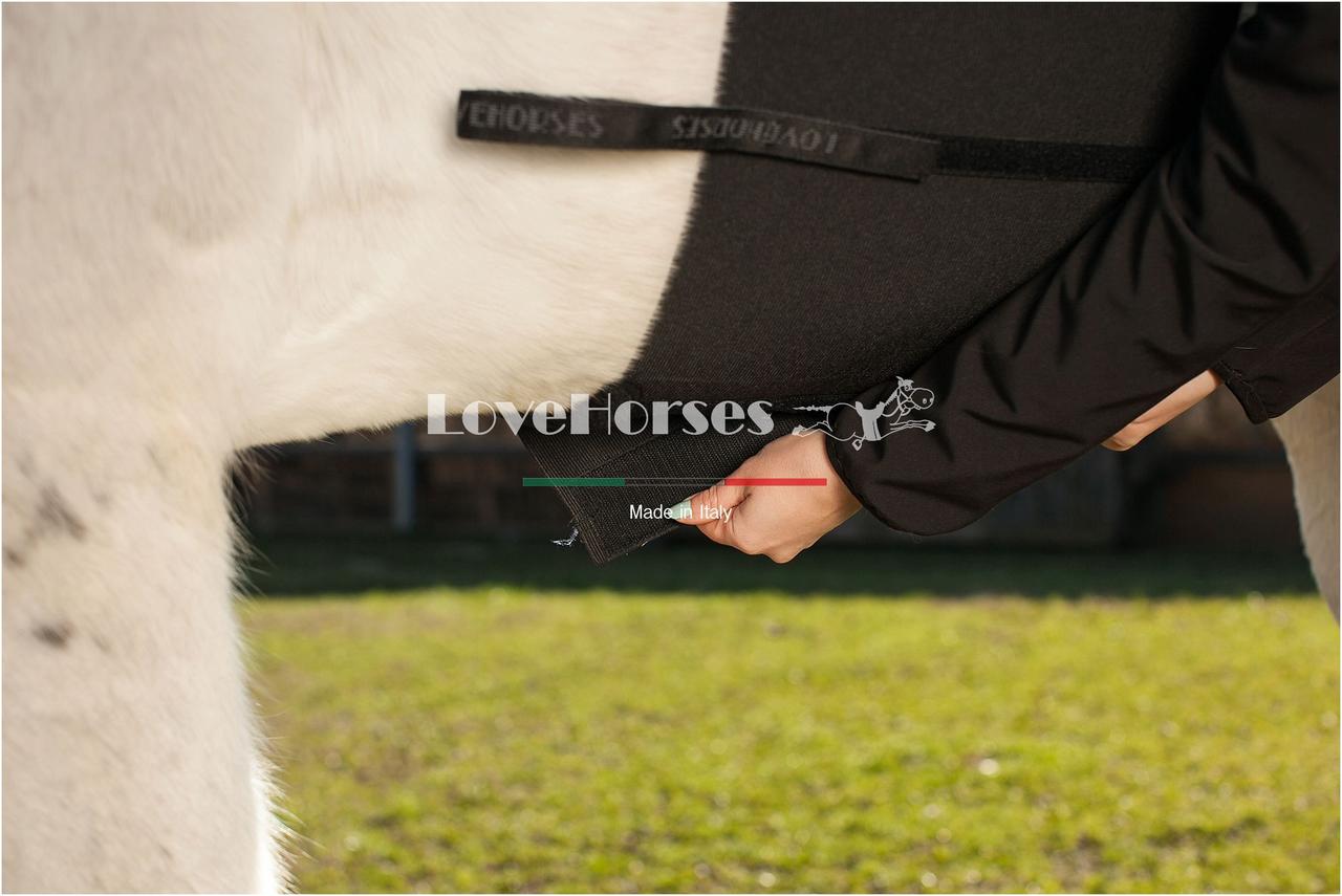 Sangle de protection contre les éperons - LoveHorses