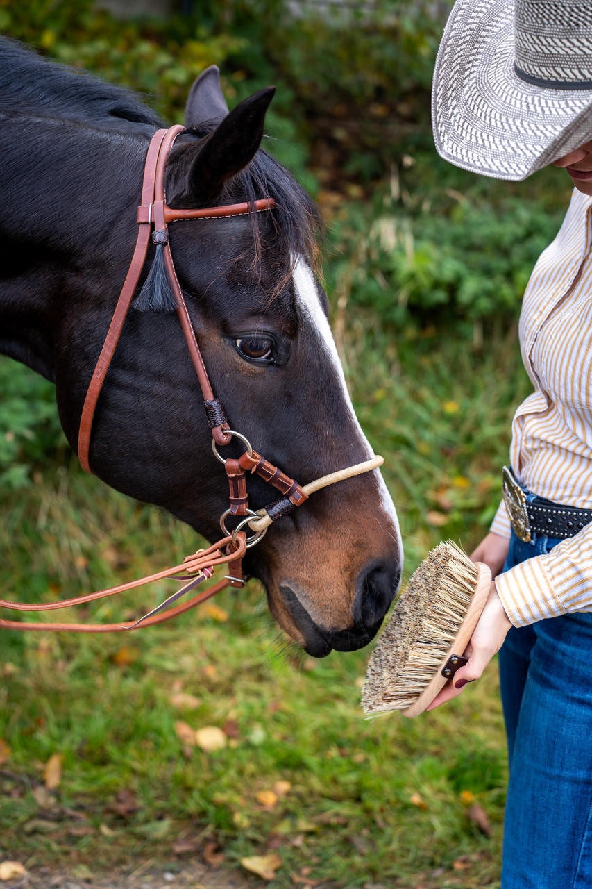 Leistner Brosse à panser Cowboy 214 x 96 mm