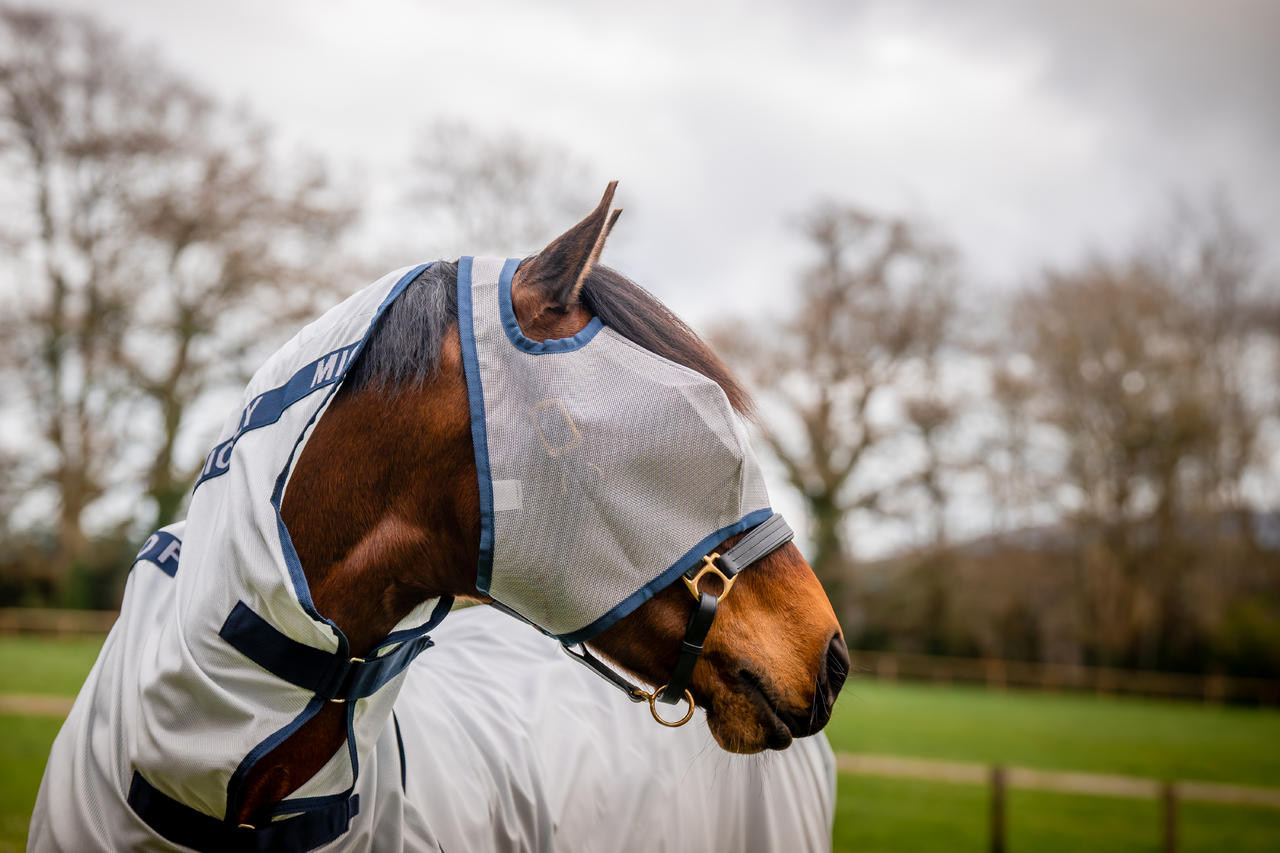 Horseware Masque anti-mouches Mio Flymask