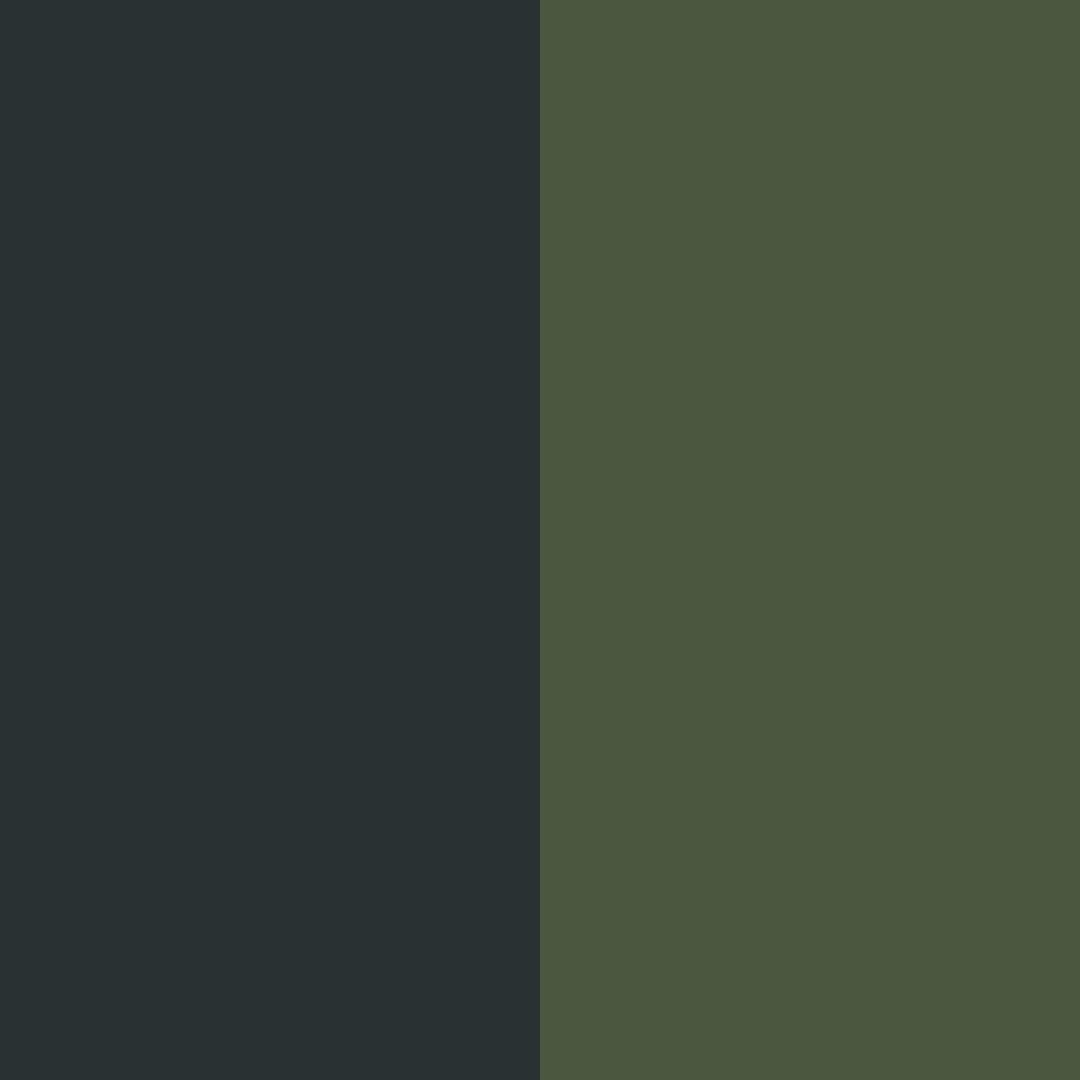 anthracite/olive